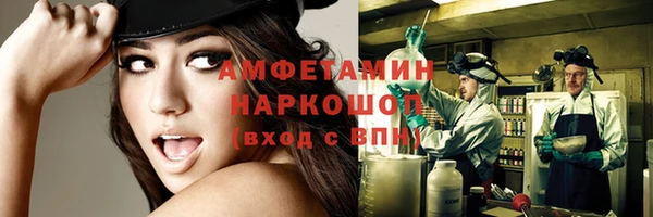 сатива Алзамай