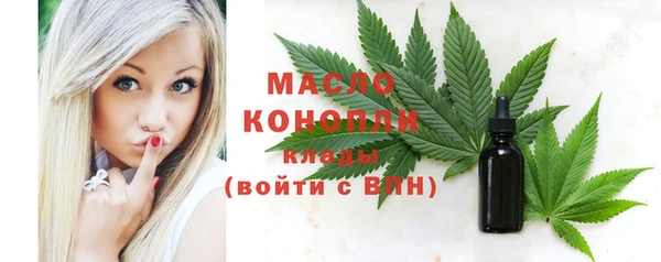 дмт Алексин