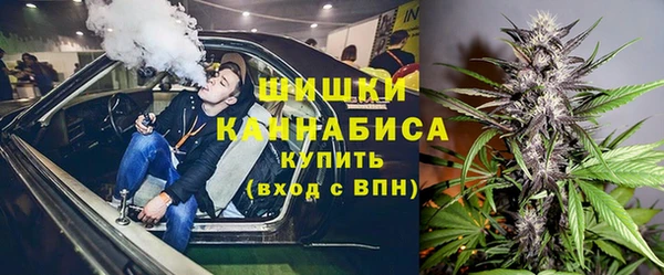 сатива Алзамай