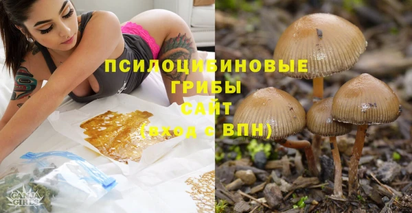 дмт Алексин