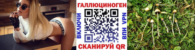 Псилоцибиновые грибы мицелий  Дубовка 